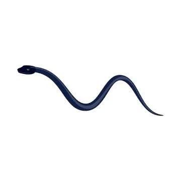 Vector illustration of poison and evil symbol. Collection of poison and bite Stock Illustration