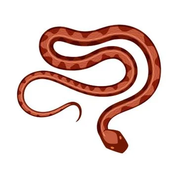 Vector illustration of poison and evil icon. Collection of poison and bite stock Stock Illustration
