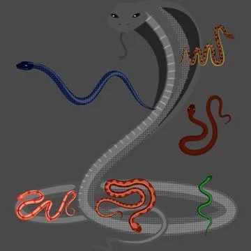 Vector illustration of poison and evil logo. Set of poison and bite stock vector 스톡 일러스트