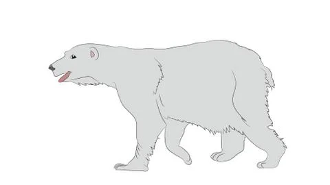 Vector illustration of a polar bear, which stands, drawing, vector Stock Illustration