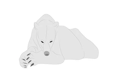 Vector illustration of a polar bear which lies, drawing color Stock-Illustration