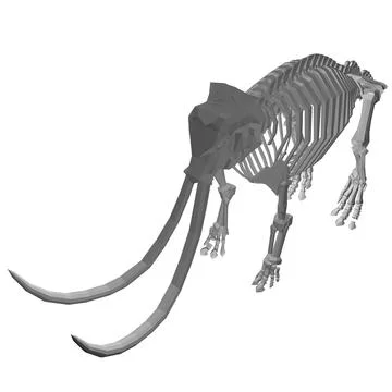 Vector Illustration of polygonal Mammoth Skeleton on Isolated White Backgroun Stock Illustration