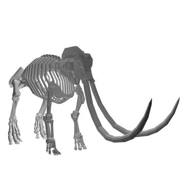 Vector Illustration of polygonal Mammoth Skeleton on Isolated White Backgroun Stock Illustration