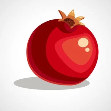 Vector illustration pomegranate Stock Illustration