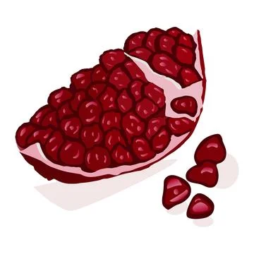 Vector Illustration of Pomegranate ripe Stock Illustration