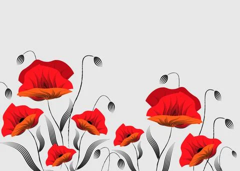 Vector illustration of poppies in the background. Stock Illustration