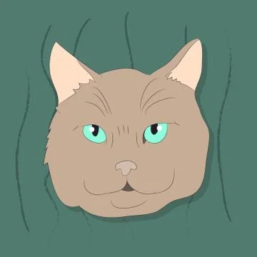 Vector illustration of a portrait of a cat on a colored background Stock-Illustration