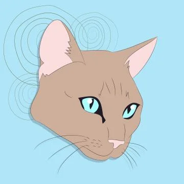 Vector illustration of a portrait of a cat on a colored background Illustrazione stock