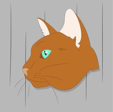 Vector illustration of a portrait of a cat on a colored background Illustrazione stock