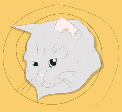 Vector illustration of a portrait of a cat on a colored background Illustrazione stock