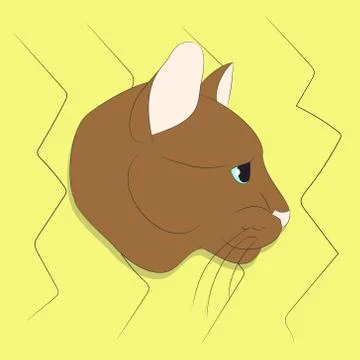 Vector illustration of a portrait of a cat on a colored background Stock-Illustration