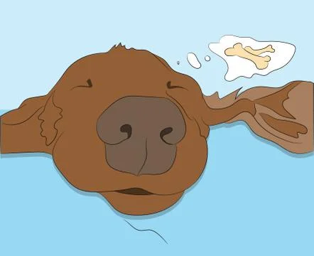 Vector illustration of a portrait of a dachshund that is sleeping, color draw Illustrazione stock