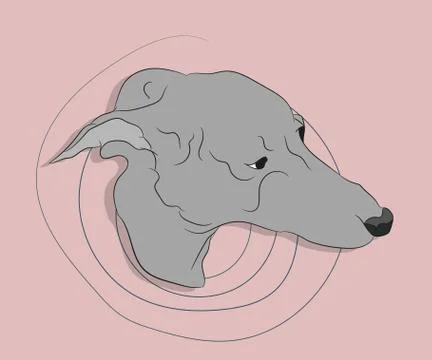 Vector illustration of a portrait of a dog on a bright background Illustrazione stock