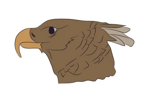 Vector illustration of a portrait of an eagle, color drawing Stock Illustration