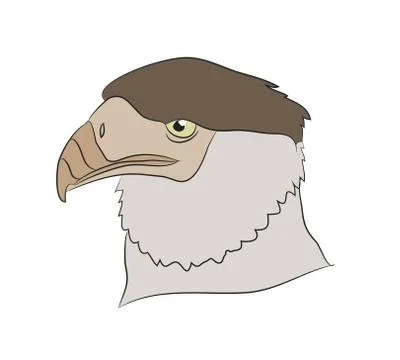 Vector illustration of a portrait of an eagle, color drawing Stock-Illustration