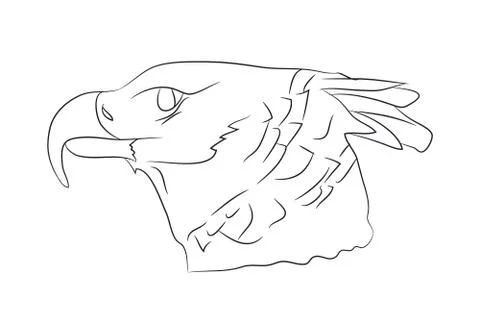 Vector illustration of portrait of eagle, drawing by lines Stock Illustration