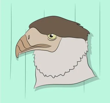 Vector illustration of a portrait of an eagle, drawing color Illustrazione stock