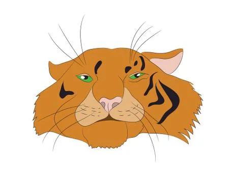 Vector illustration portrait of an orange tiger, vector Stock Illustration