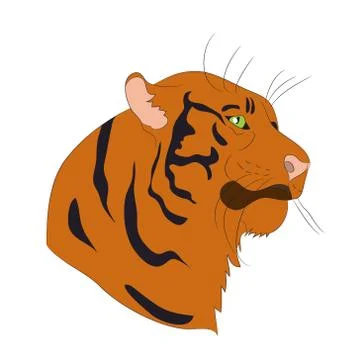 Vector illustration portrait of an orange tiger, vector Stock Illustration