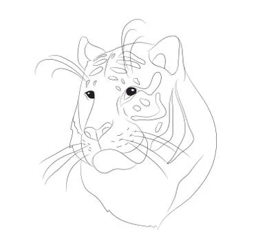 Vector illustration portrait of tiger lines, vector Stock Illustration