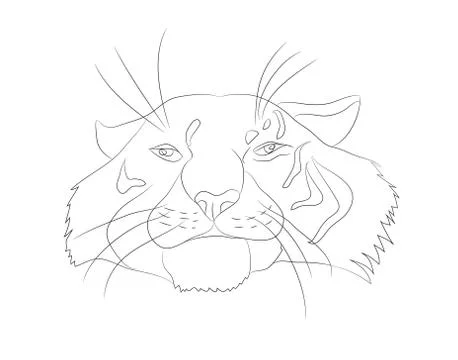 Vector illustration portrait of tiger lines, vector Illustrazione stock