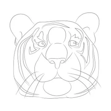 Vector illustration portrait of tiger lines, vector Stock Illustration