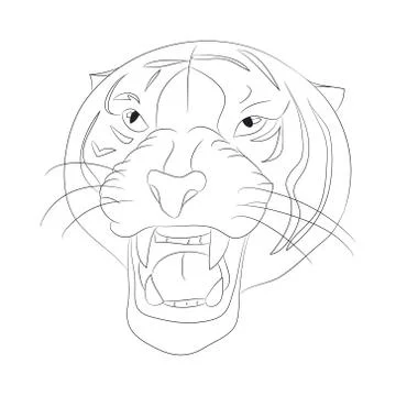 Vector illustration portrait of tiger lines, vector Stock Illustration