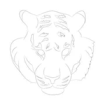 Vector illustration portrait of tiger lines, vector Stock Illustration