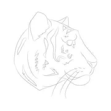 Vector illustration portrait of tiger lines, vector Illustrazione stock