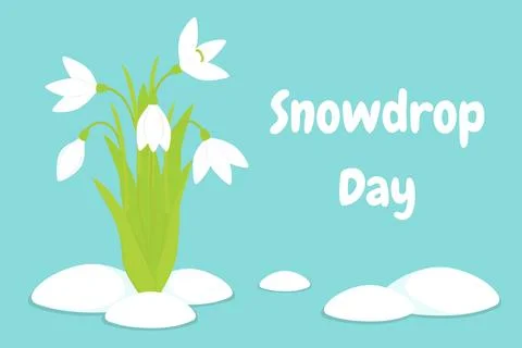 Vector illustration. Postcard to the day of the snowdrop Иллюстрация