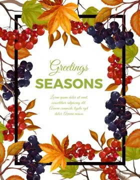 Vector illustration of a poster in  frame  winter berries. Illustrazione stock