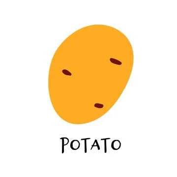 Vector illustration of potato in hand drawn flat style. Stock Illustration