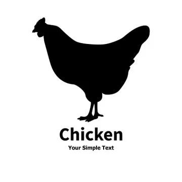 Vector illustration of poultry chicken Stock Illustration