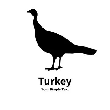 Vector illustration of poultry turkey Stock Illustration