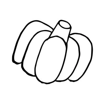 Vector illustration of pumpkin in doodle style Stock Illustration