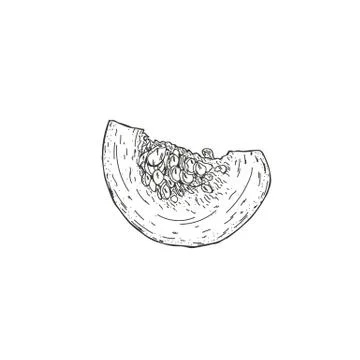 Vector illustration of a pumpkin drawn by hand. Isolate the pumpkin and cut it Stock Illustration