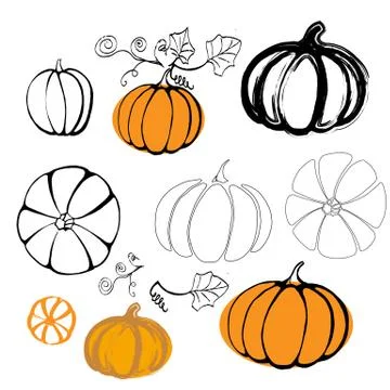 Vector illustration pumpkin isolated on white Stock Illustration