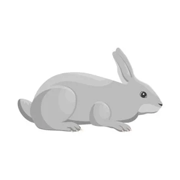 Vector illustration of a rabbit Stock Illustration