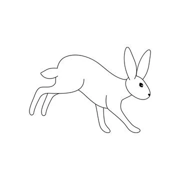 Vector illustration of a rabbit landing after a jump. Black outline hare on a Stock Illustration