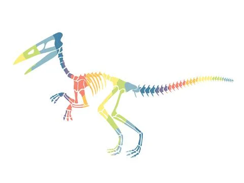 Vector illustration with rainbow dinosaur skeleton isolated on a white Stock Illustration