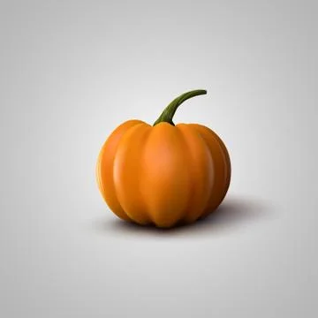 Vector Illustration Of Realistic Pumpkin Stock Illustration