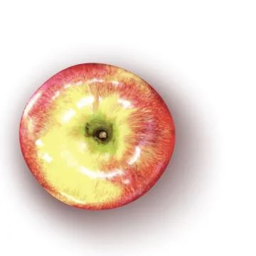 Vector illustration of realistic red apple Illustrazione stock