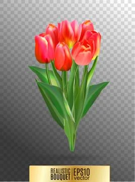 Vector illustration of realistic red tulips bouquet. A bouquet of flowers, lit Stock Illustration