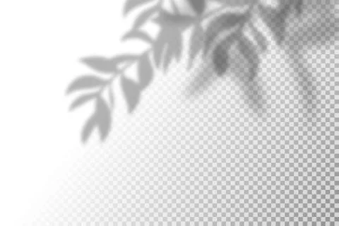 Vector illustration of realistic shadow overlay effect. Blurred transparent soft Stock-Illustration