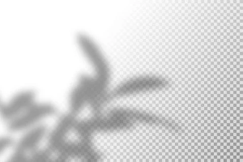 Vector illustration of realistic shadow overlay effect. Blurred transparent soft Illustrazione stock