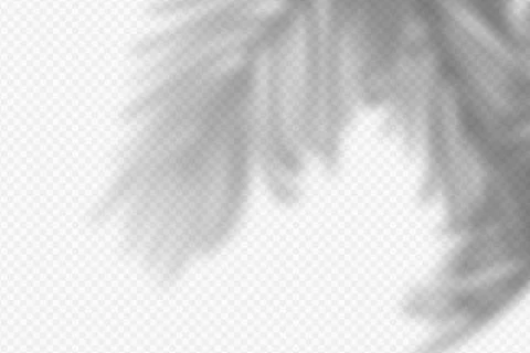 Vector illustration of realistic tropical shadow overlay effect. Blurred Stock Illustration