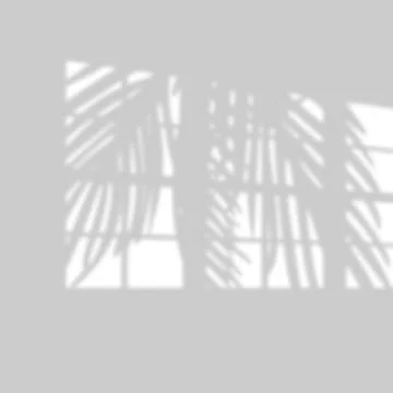 Vector illustration of realistic tropical shadow overlay effect. Blurred Illustrazione stock