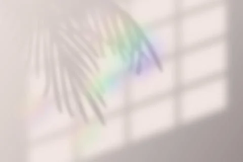 Vector illustration of realistic tropical shadow overlay effect. with rainbow Stock Illustration