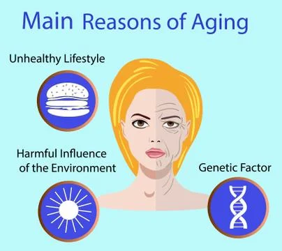 Vector illustration with reasons of aging Stock Illustration