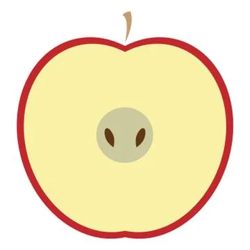 Vector illustration of a red apple. Half an apple. Apple in a cut. Stock Illustration